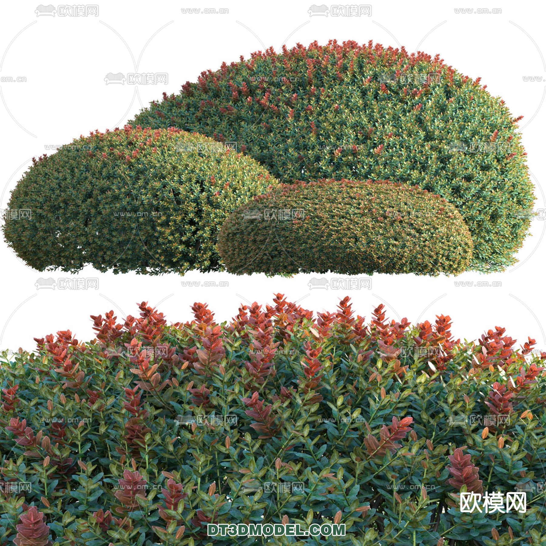 PLANTS – BUSH – VRAY / CORONA – 3D MODEL – 278 - thumbnail 1