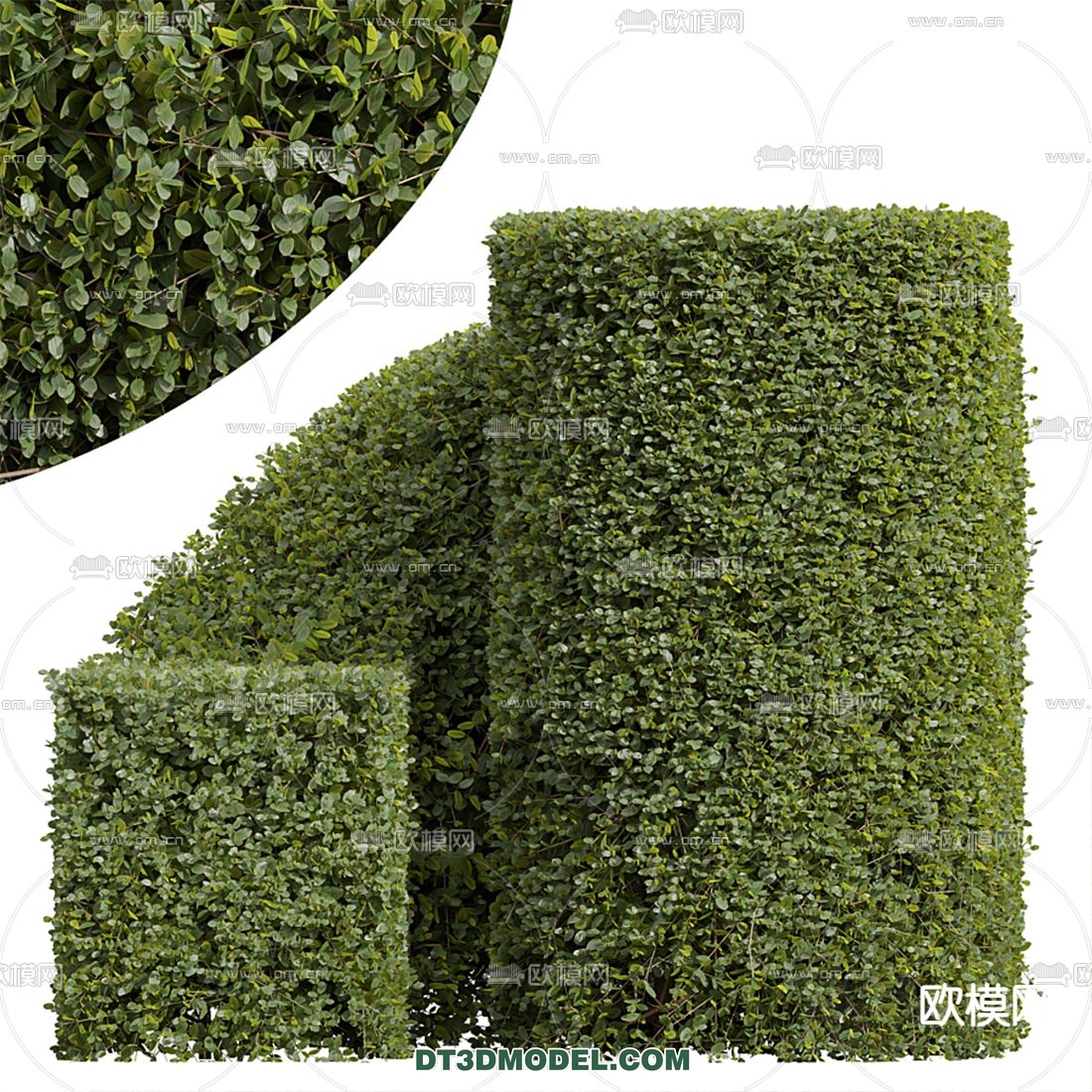 PLANTS – BUSH – VRAY / CORONA – 3D MODEL – 287 - thumbnail 1