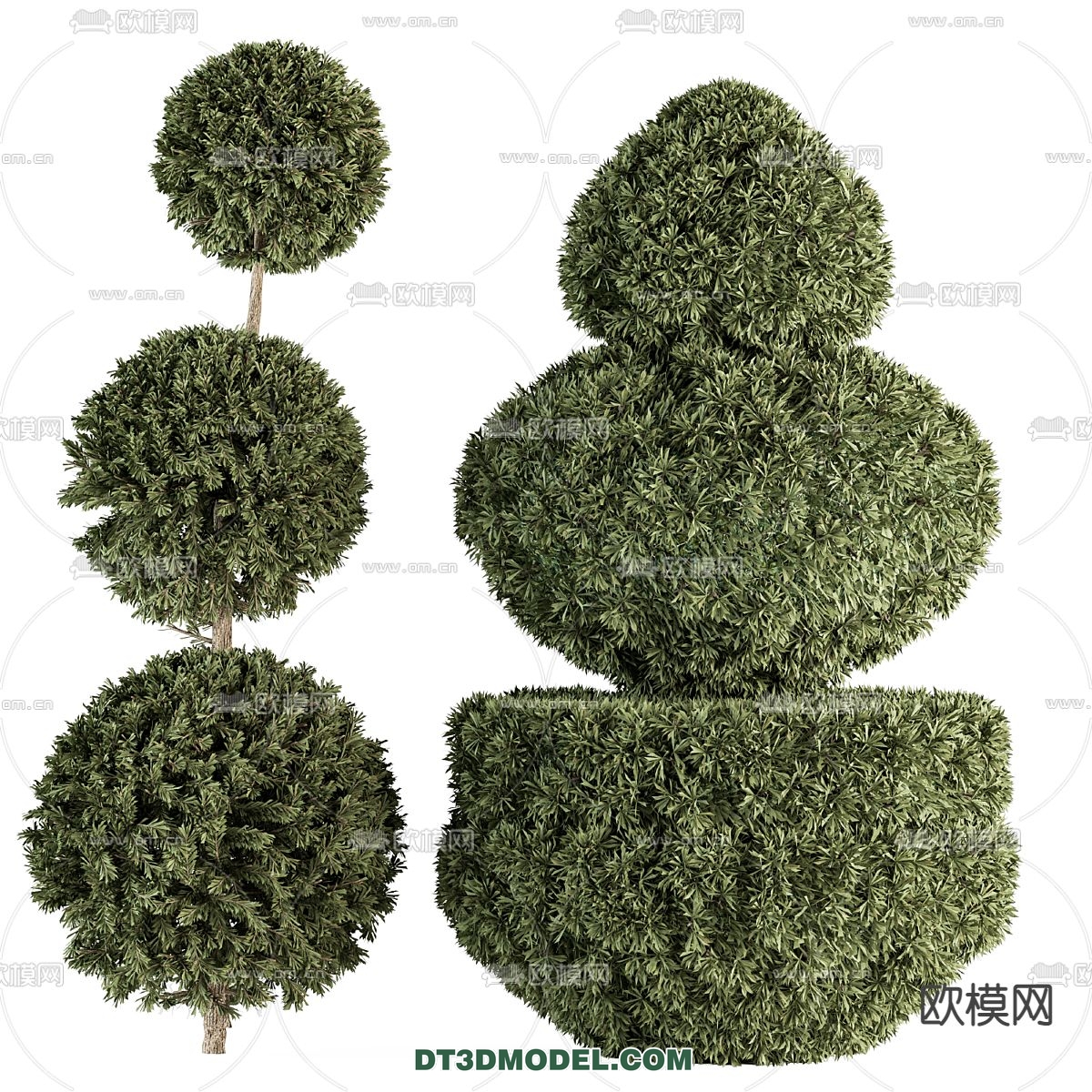 PLANTS – BUSH – VRAY / CORONA – 3D MODEL – 288 - thumbnail 1