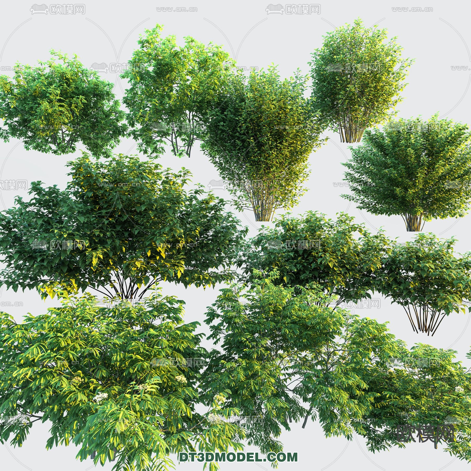 PLANTS – BUSH – VRAY / CORONA – 3D MODEL – 294 - thumbnail 1