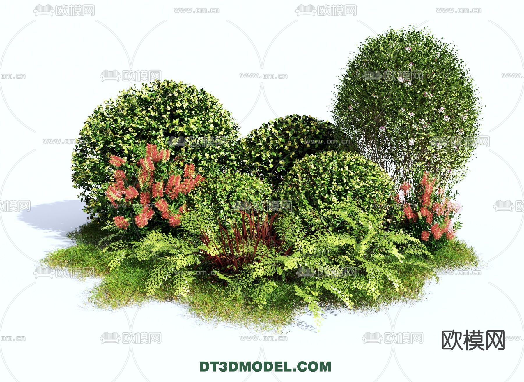 PLANTS – BUSH – VRAY / CORONA – 3D MODEL – 301 - thumbnail 1