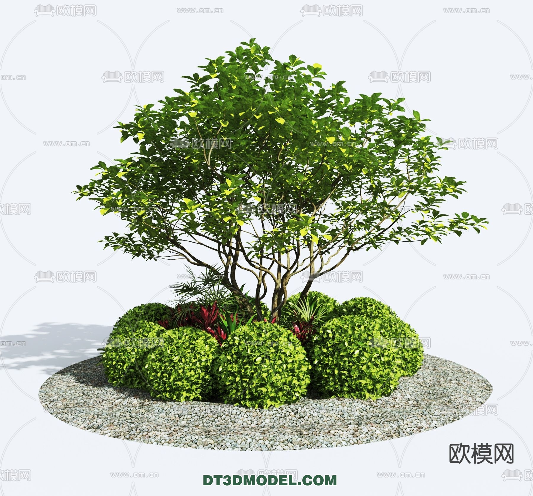 PLANTS – BUSH – VRAY / CORONA – 3D MODEL – 302 - thumbnail 1