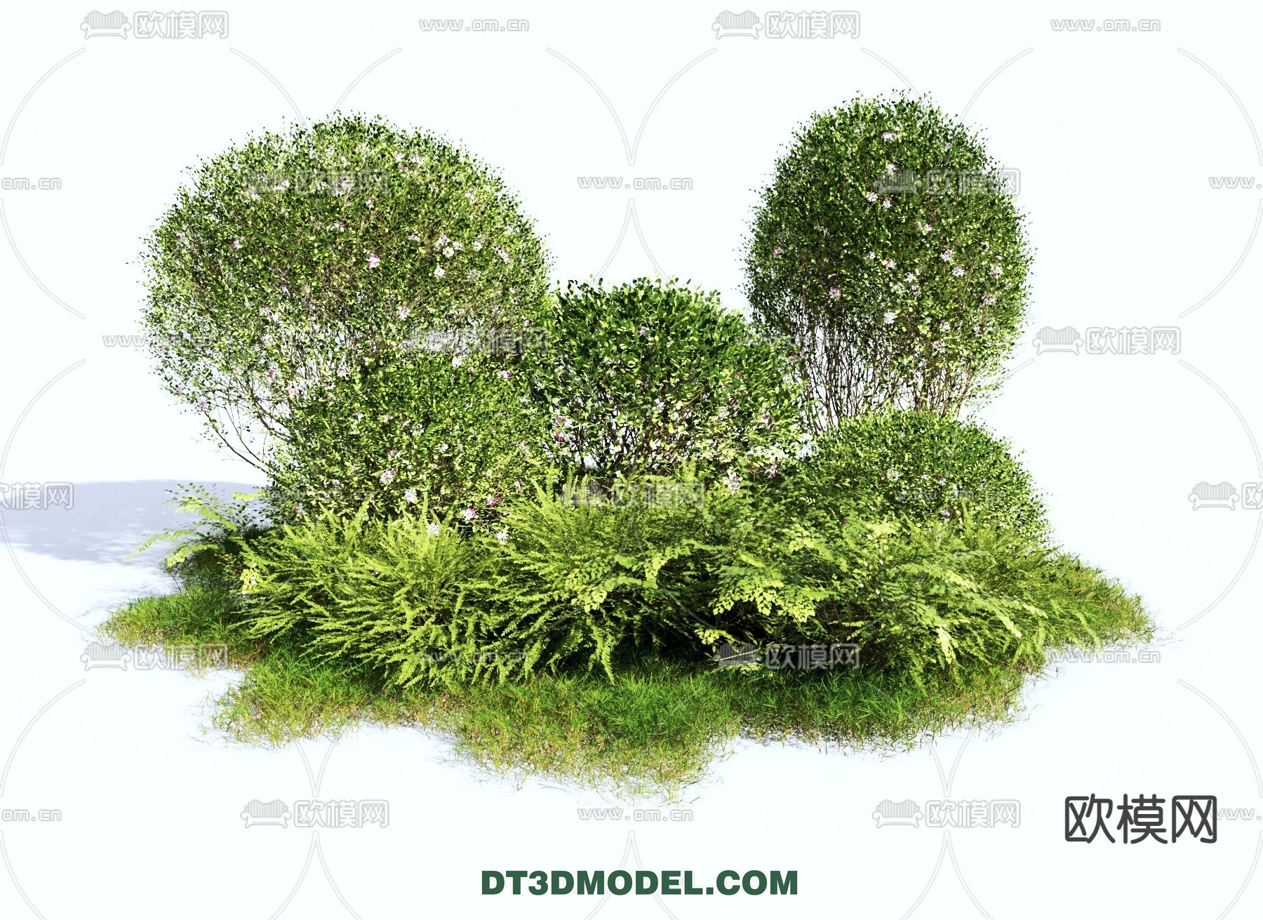 PLANTS – BUSH – VRAY / CORONA – 3D MODEL – 303 - thumbnail 1