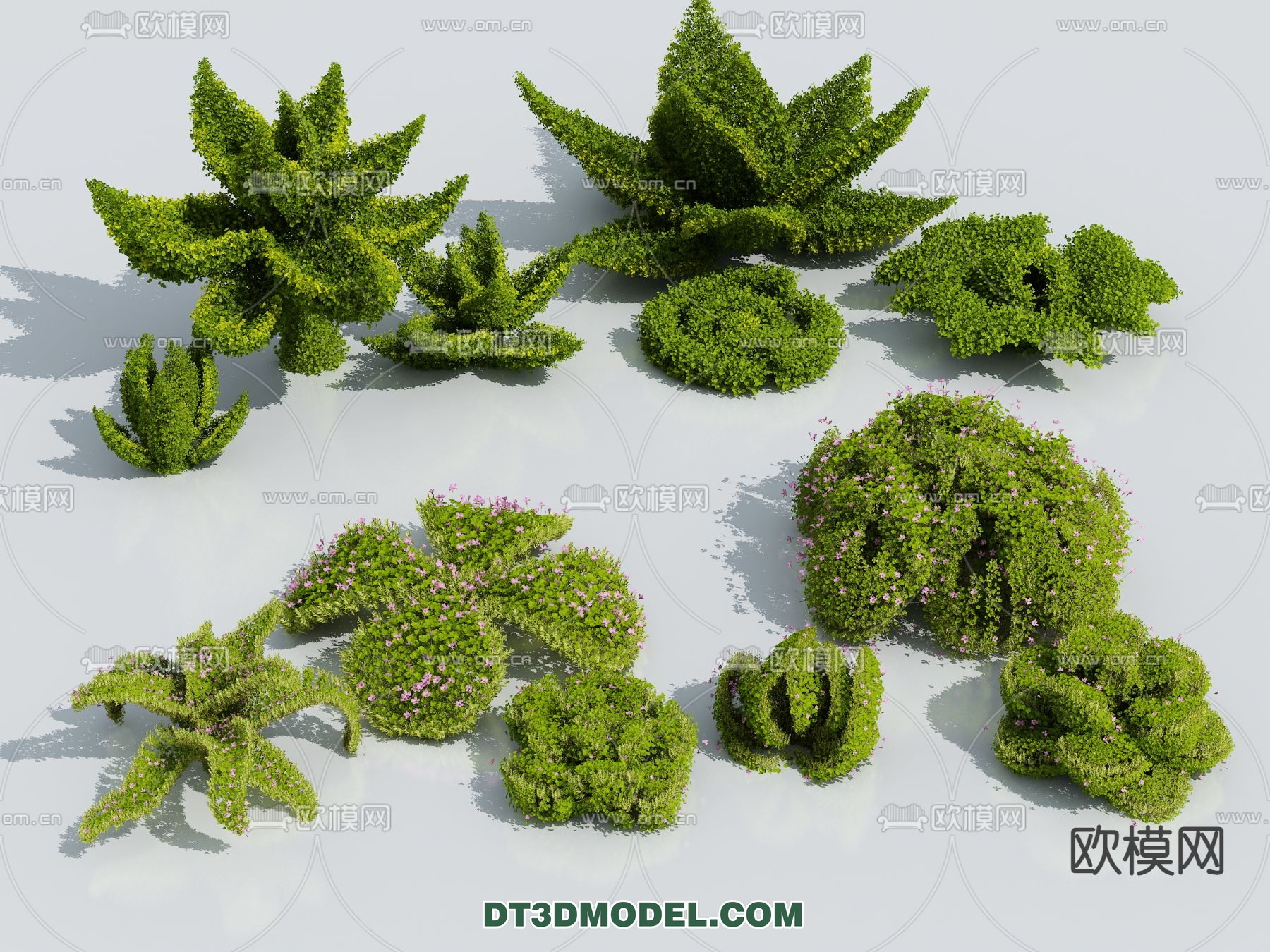 PLANTS – BUSH – VRAY / CORONA – 3D MODEL – 308 - thumbnail 1