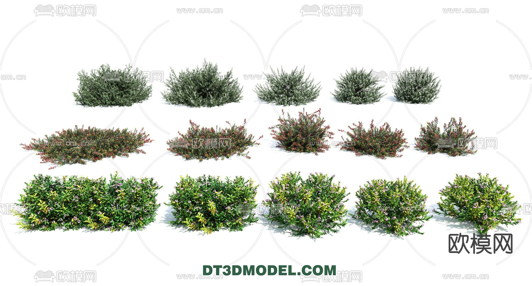 PLANTS – BUSH – VRAY / CORONA – 3D MODEL – 314 - thumbnail 1