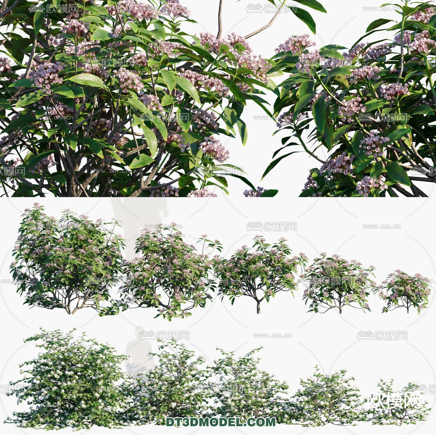 PLANTS – BUSH – VRAY / CORONA – 3D MODEL – 328 - thumbnail 1