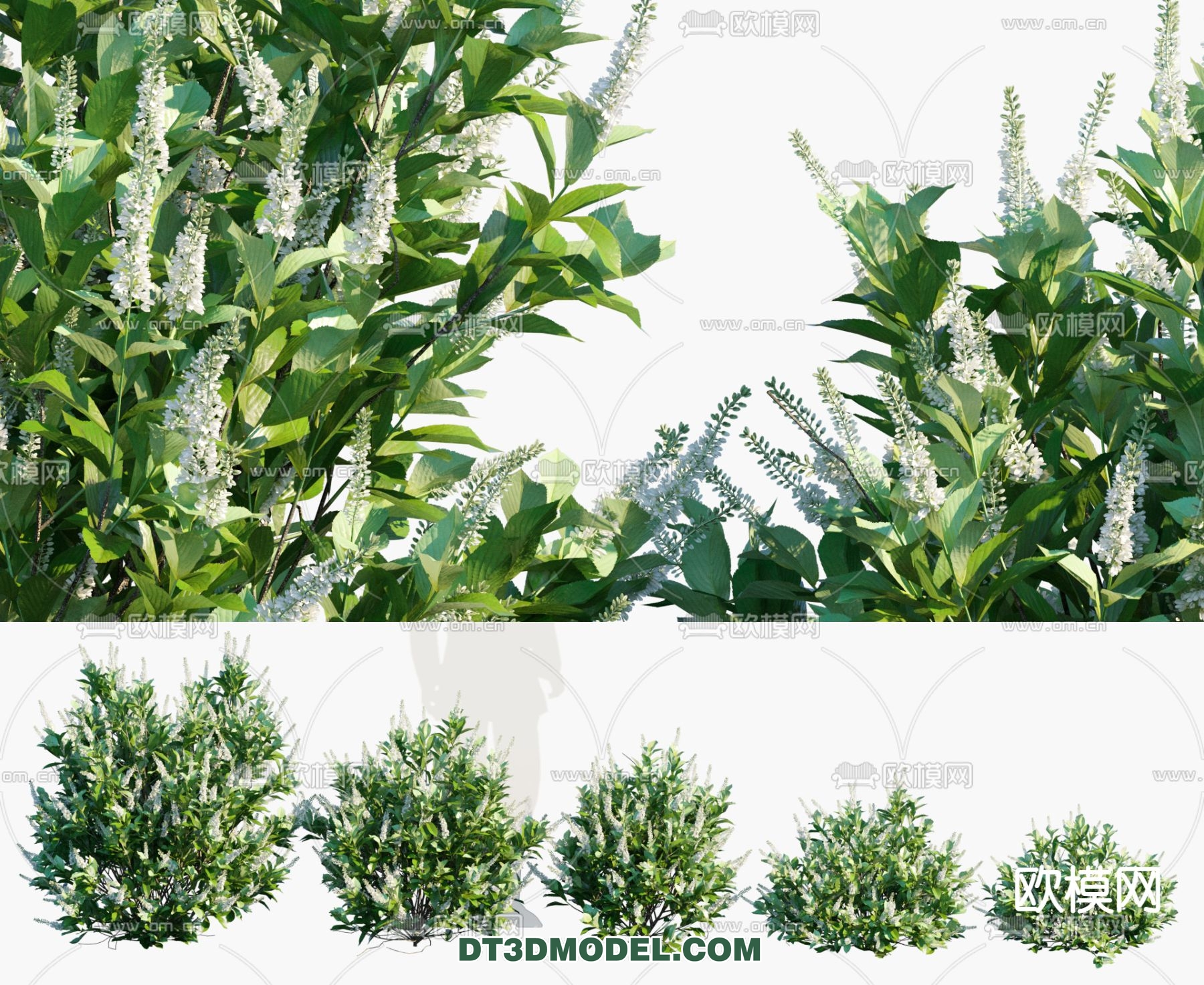 PLANTS – BUSH – VRAY / CORONA – 3D MODEL – 333 - thumbnail 1