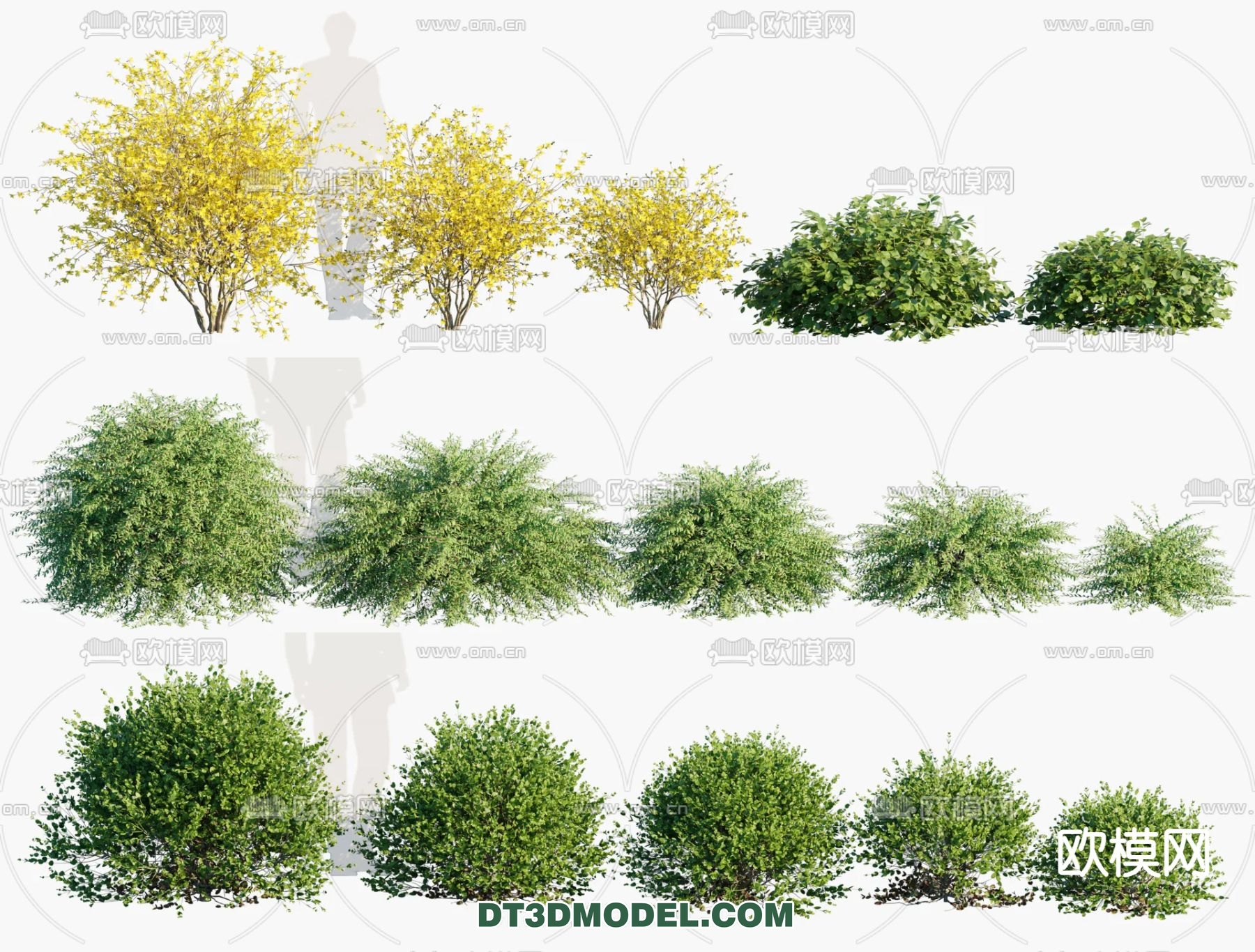 PLANTS – BUSH – VRAY / CORONA – 3D MODEL – 339 - thumbnail 1