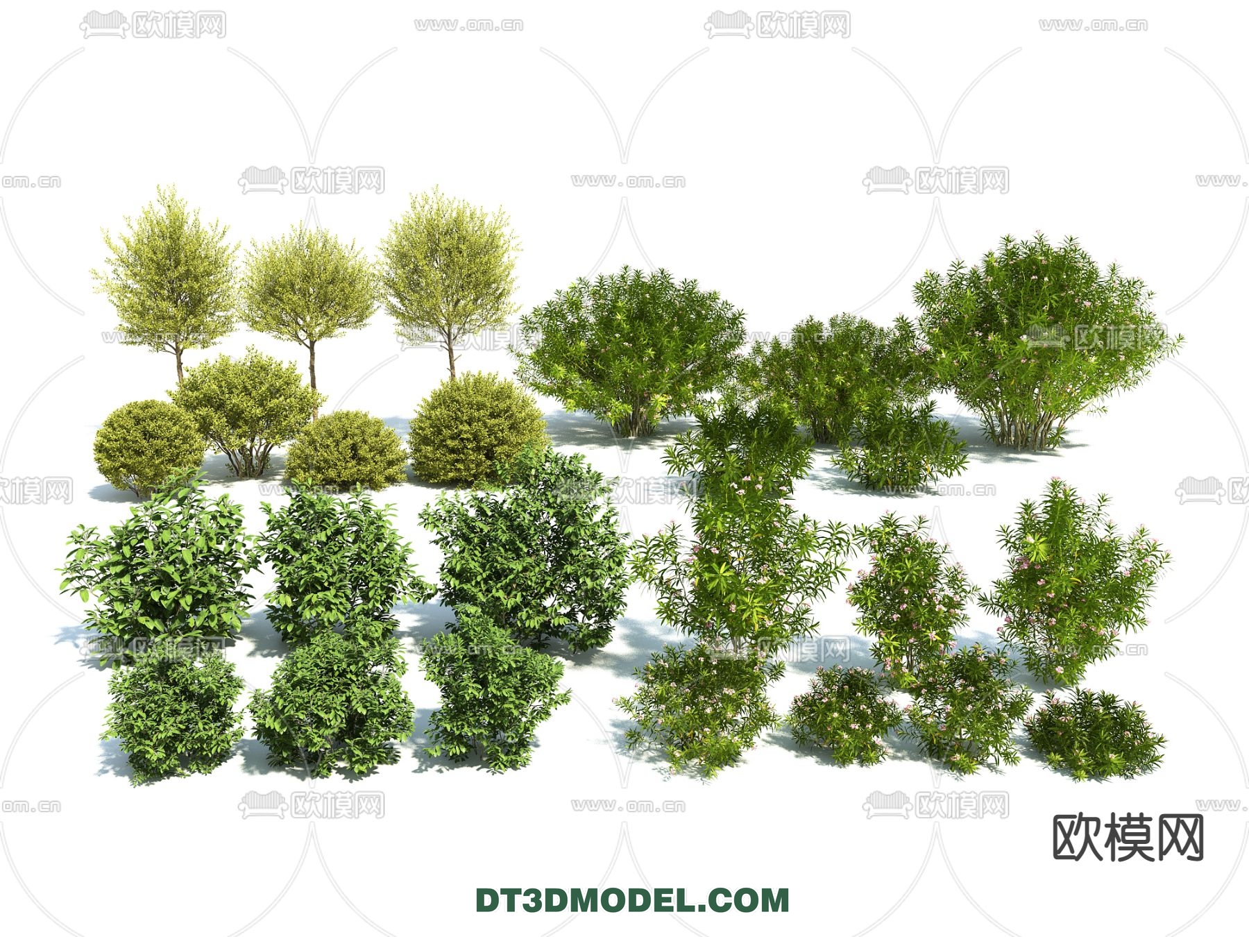 PLANTS – BUSH – VRAY / CORONA – 3D MODEL – 349 - thumbnail 1