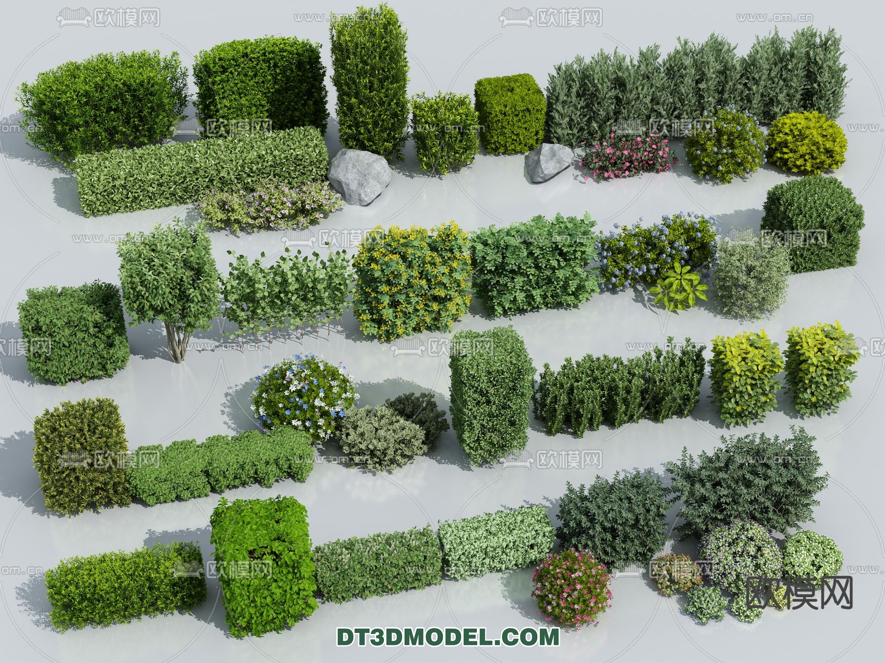 PLANTS – BUSH – VRAY / CORONA – 3D MODEL – 352 - thumbnail 1