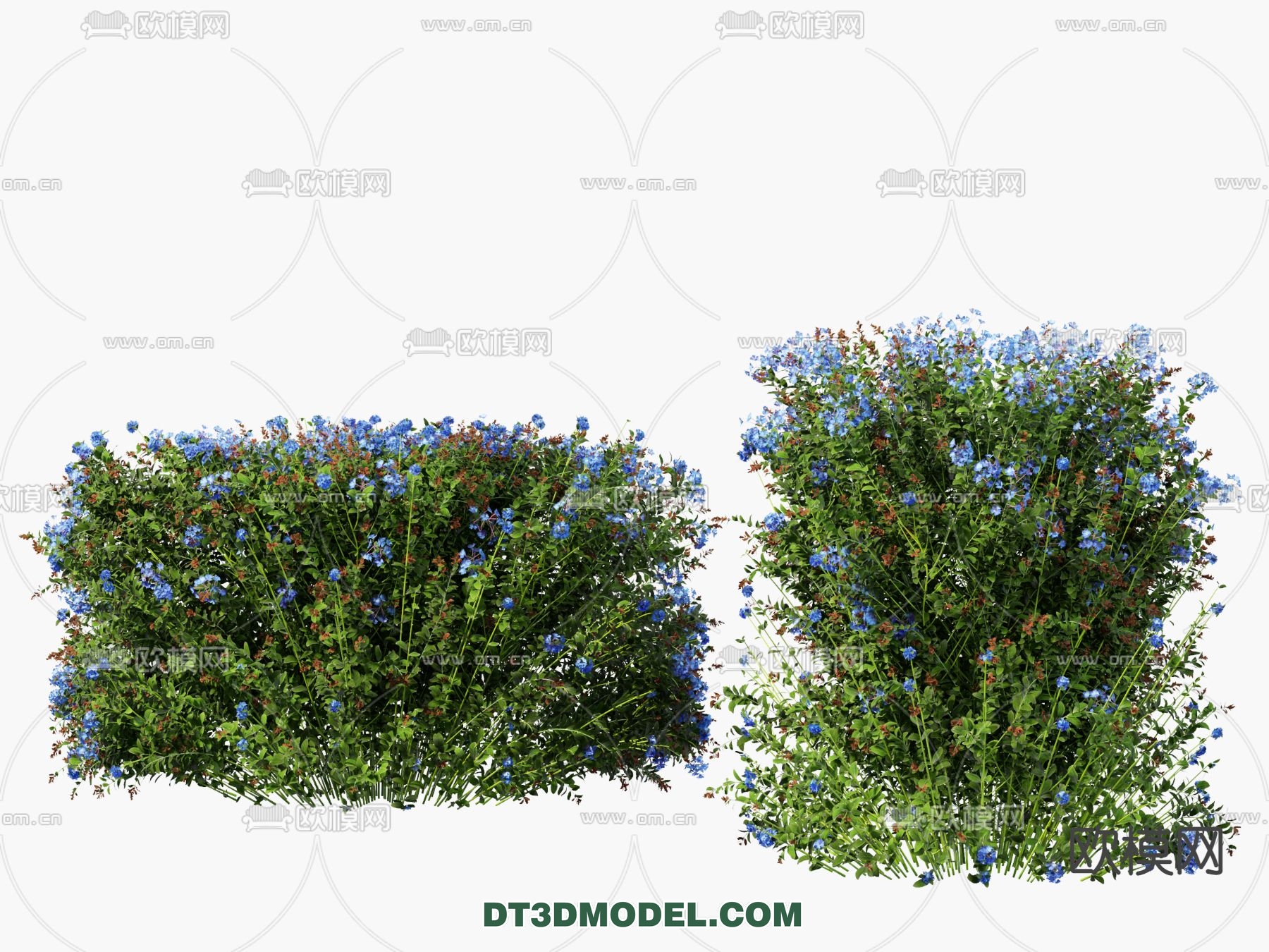 PLANTS – BUSH – VRAY / CORONA – 3D MODEL – 358 - thumbnail 1