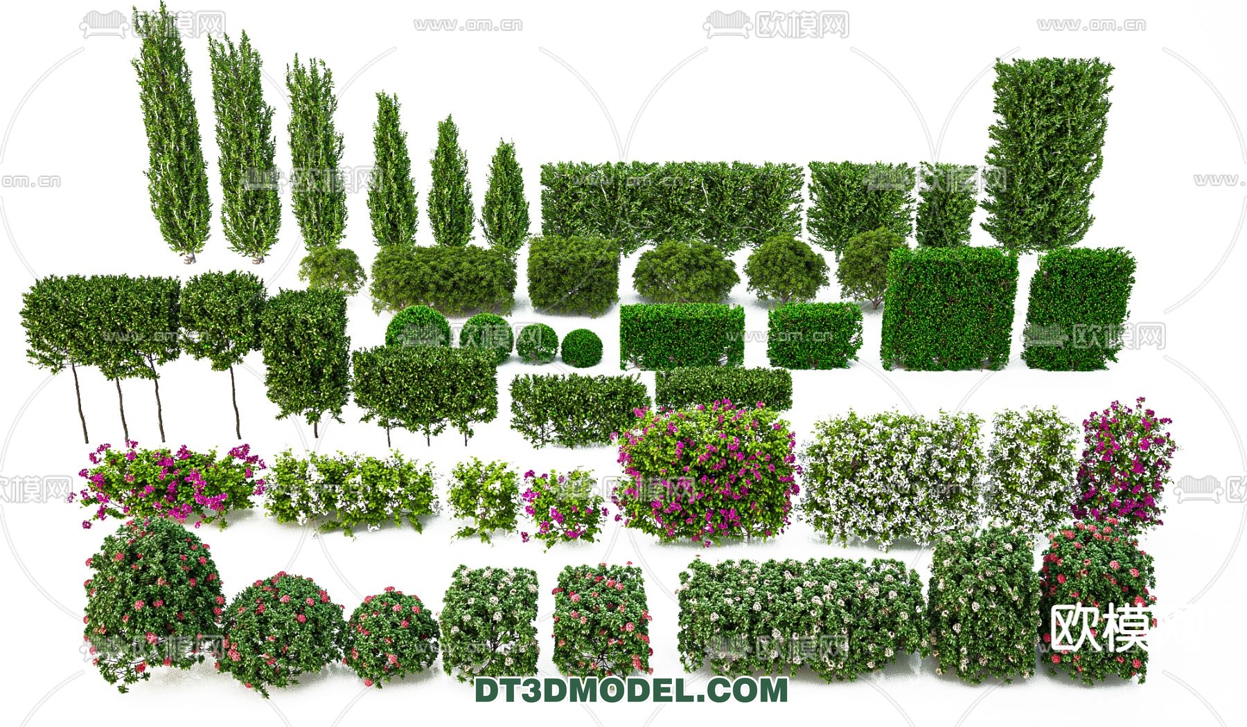 PLANTS – BUSH – VRAY / CORONA – 3D MODEL – 369 - thumbnail 1