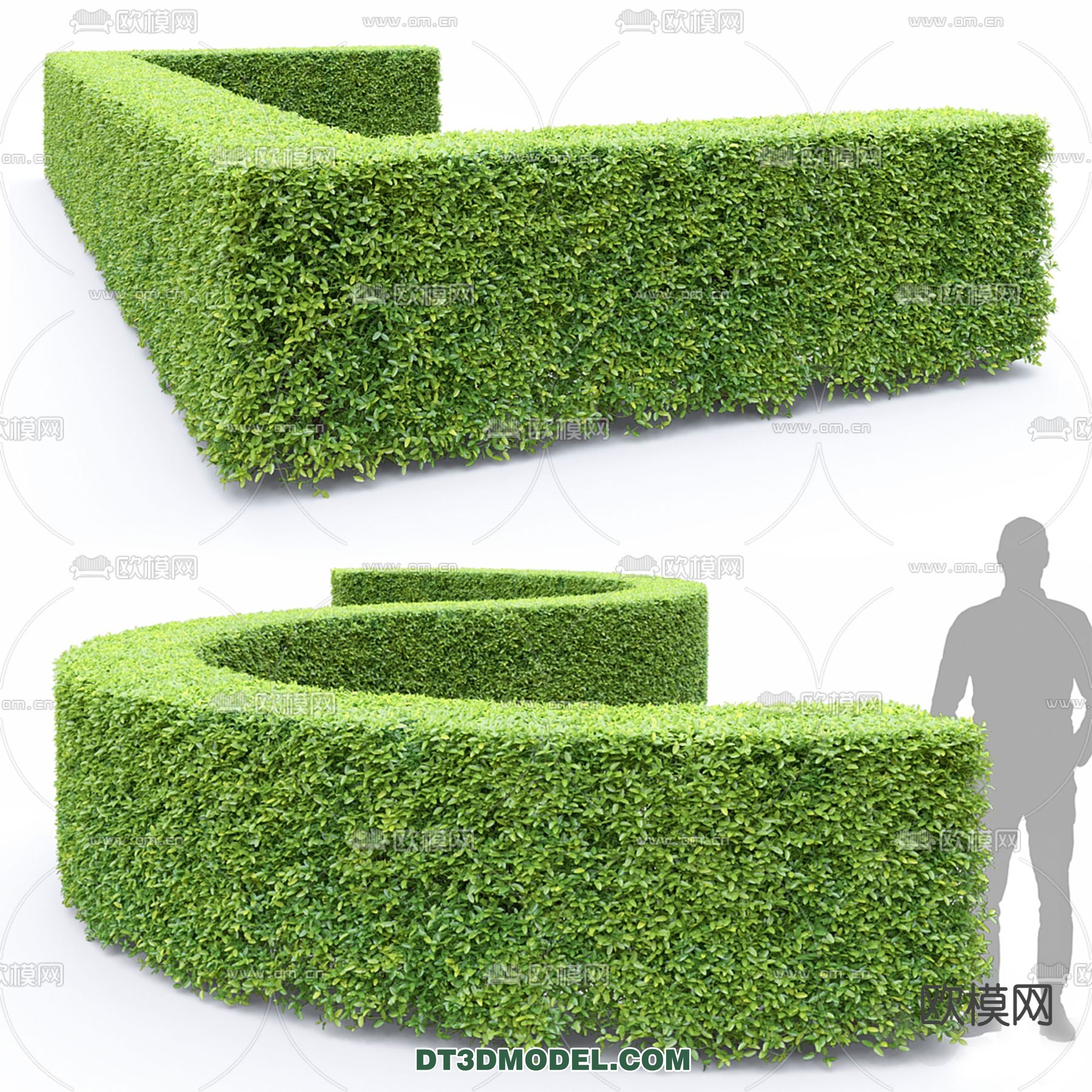 PLANTS – BUSH – VRAY / CORONA – 3D MODEL – 370 - thumbnail 1