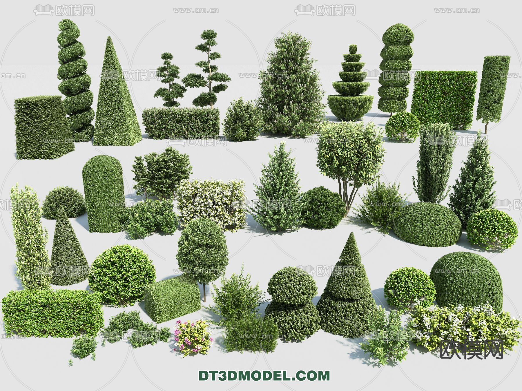 PLANTS – BUSH – VRAY / CORONA – 3D MODEL – 380 - thumbnail 1