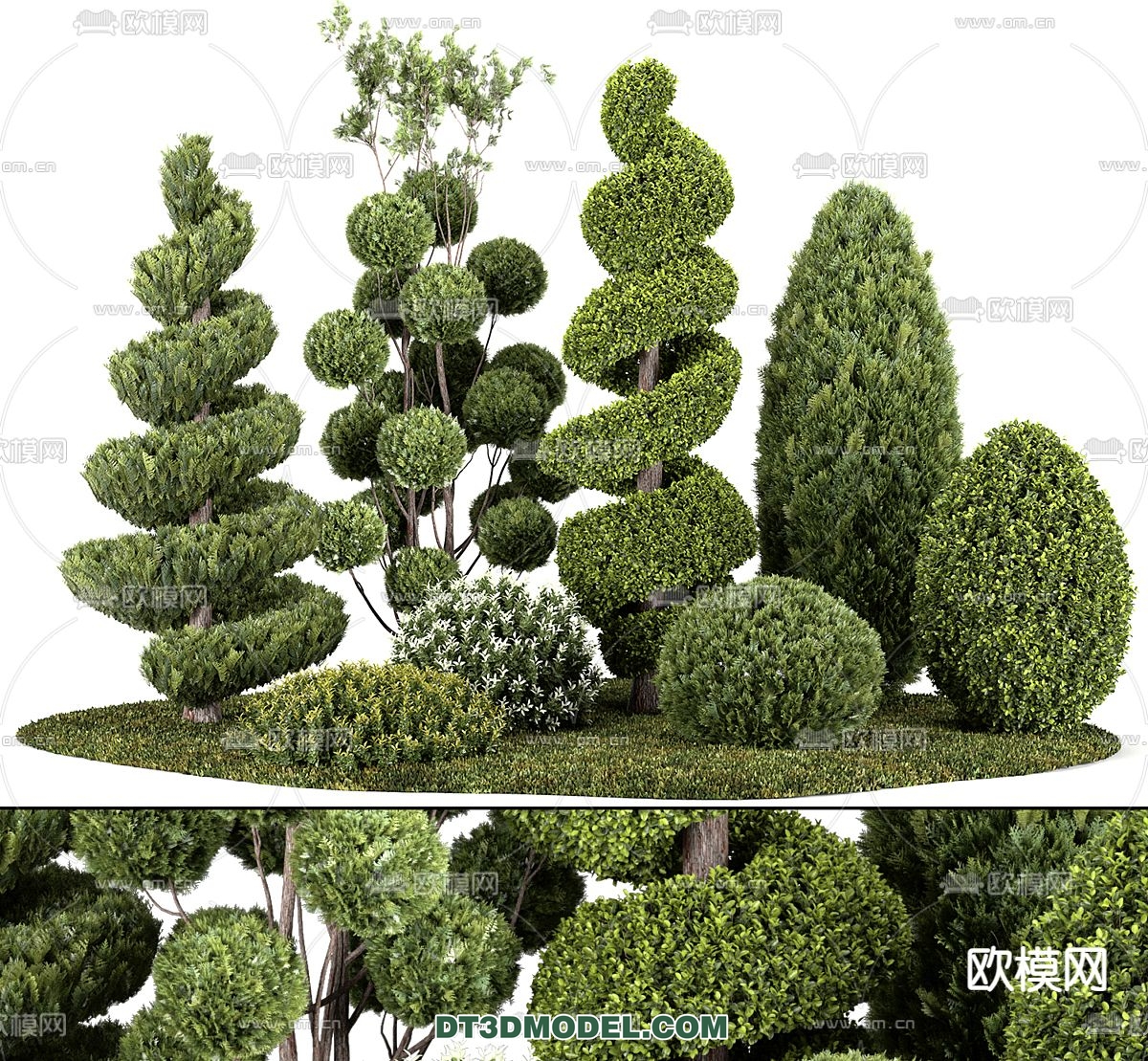 PLANTS – BUSH – VRAY / CORONA – 3D MODEL – 382 - thumbnail 1