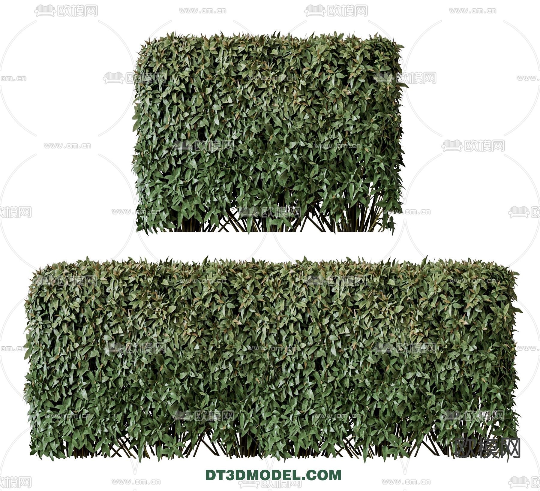 PLANTS – BUSH – VRAY / CORONA – 3D MODEL – 386 - thumbnail 1