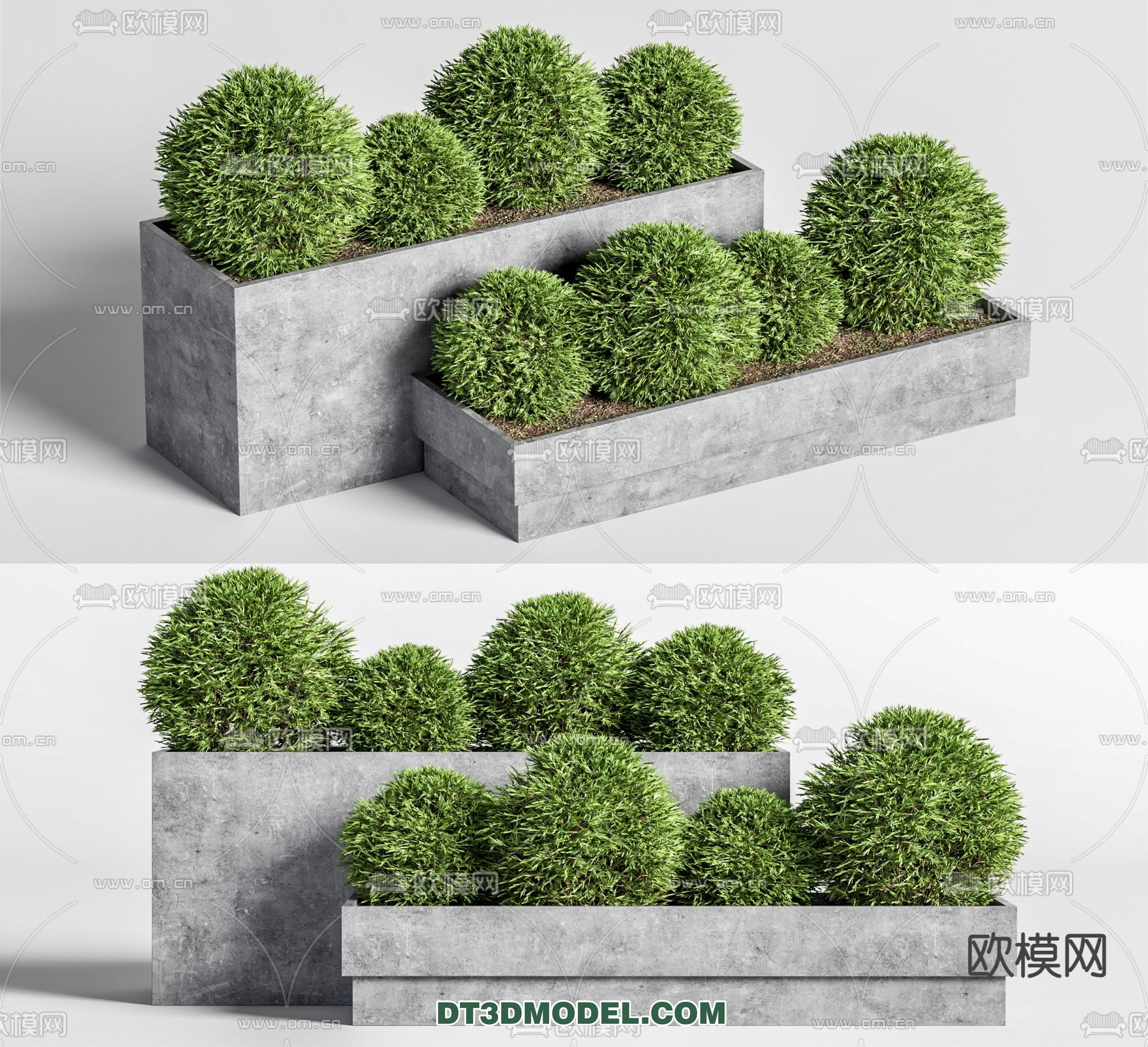 PLANTS – BUSH – VRAY / CORONA – 3D MODEL – 390 - thumbnail 1