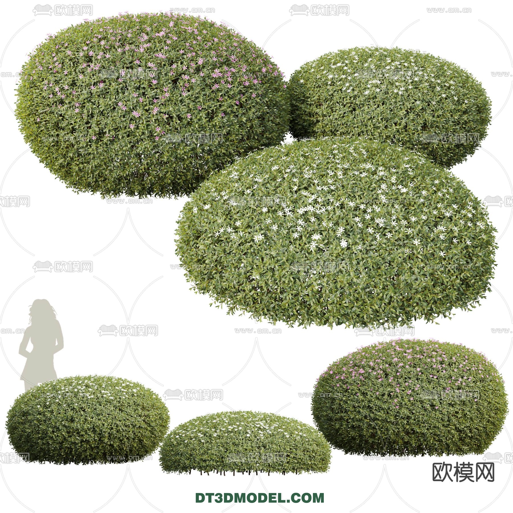 PLANTS – BUSH – VRAY / CORONA – 3D MODEL – 392 - thumbnail 1