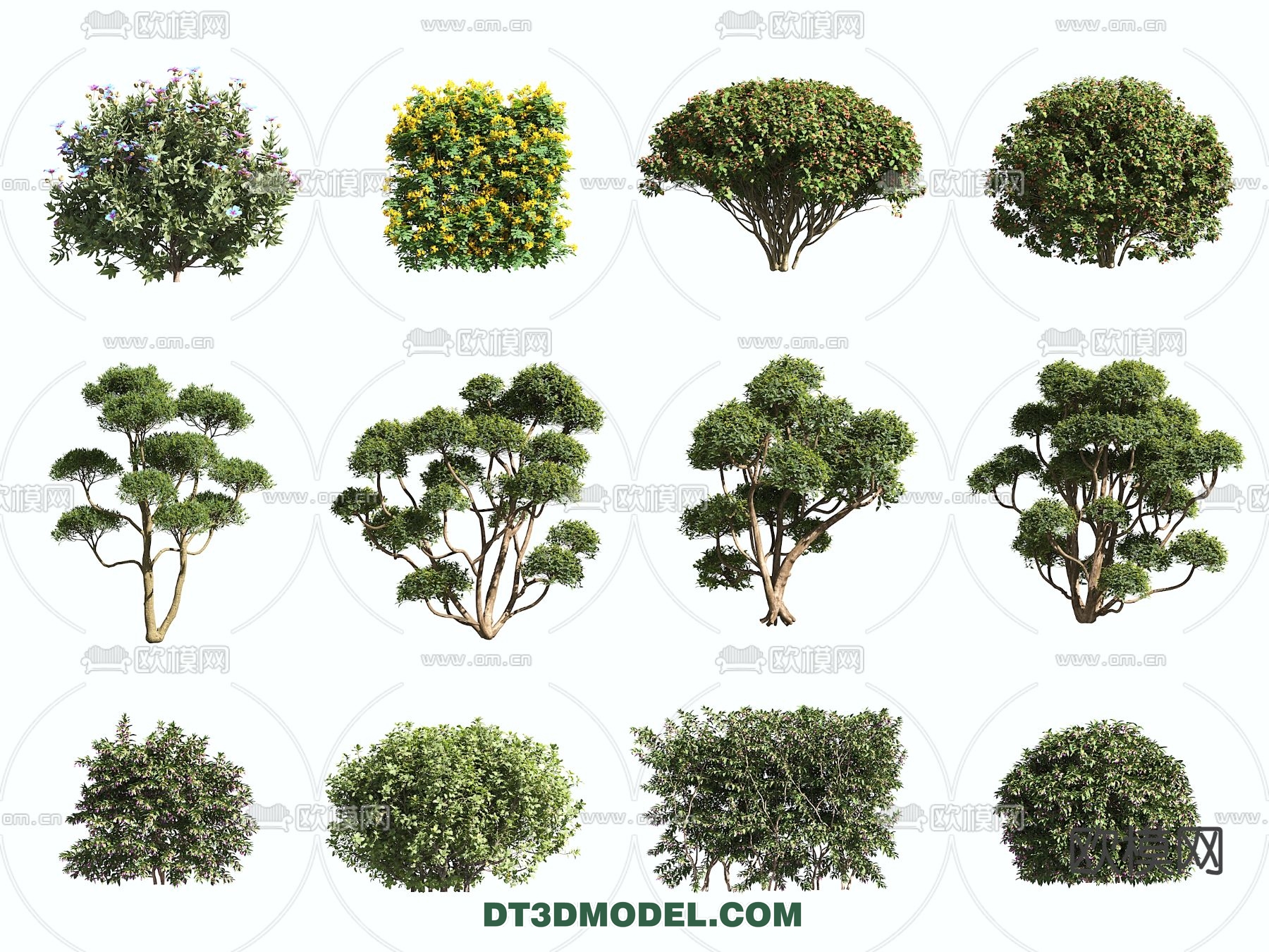 PLANTS – BUSH – VRAY / CORONA – 3D MODEL – 397 - thumbnail 1