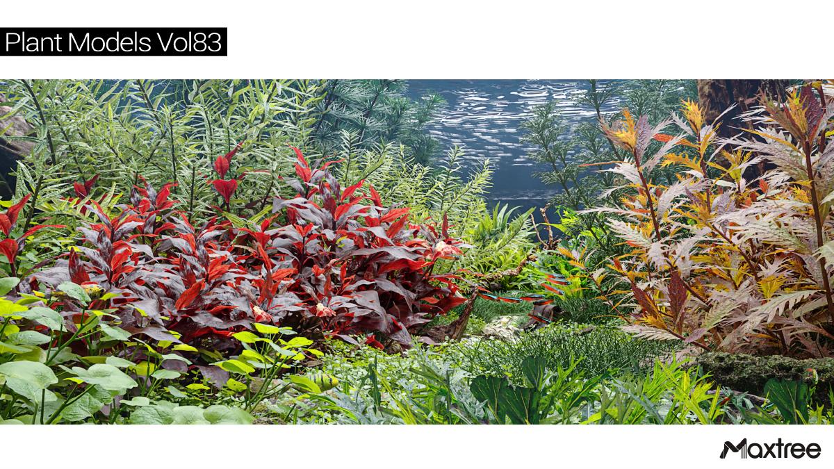 Maxtree Plant Models Vol.83 - thumbnail 1