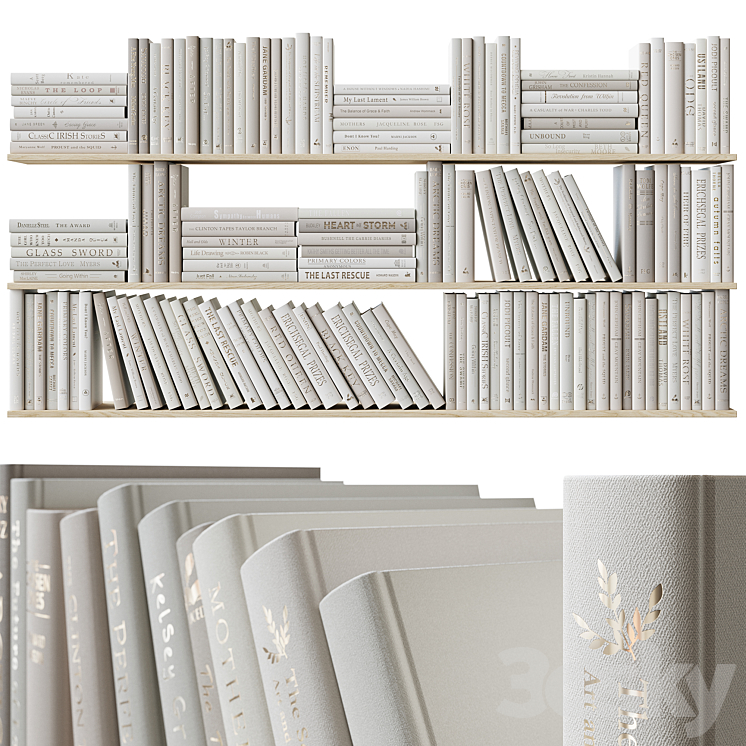 A set of beige books Books light beige 3DS Max Model - thumbnail 1