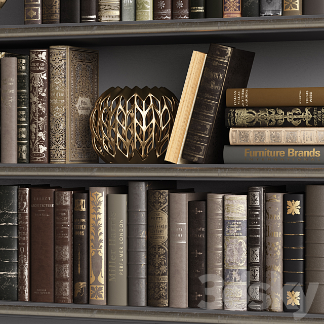 Classic Books 04 3DSMax File - thumbnail 4