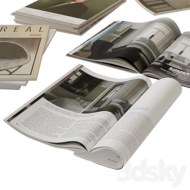 Magazines 2 3DS Max Model - thumbnail 3