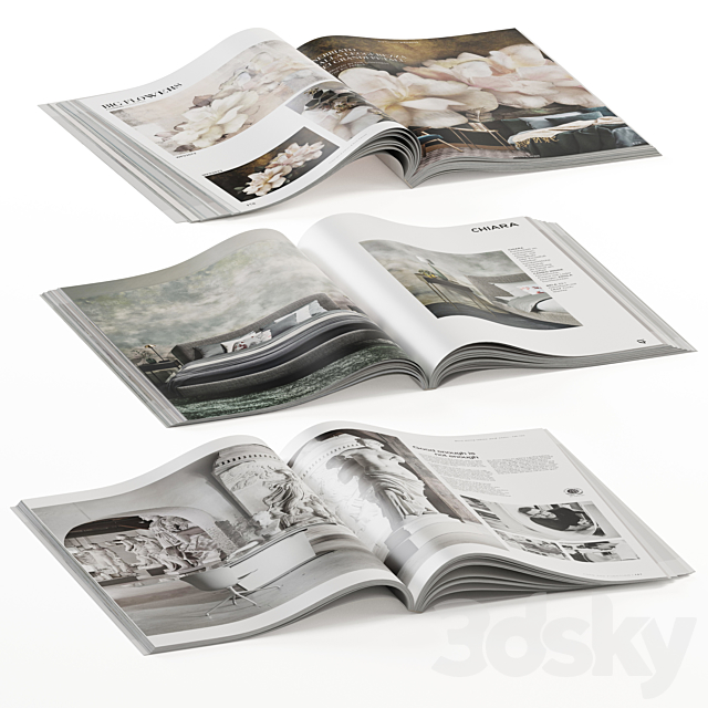 magazines opened 3DSMax File - thumbnail 5