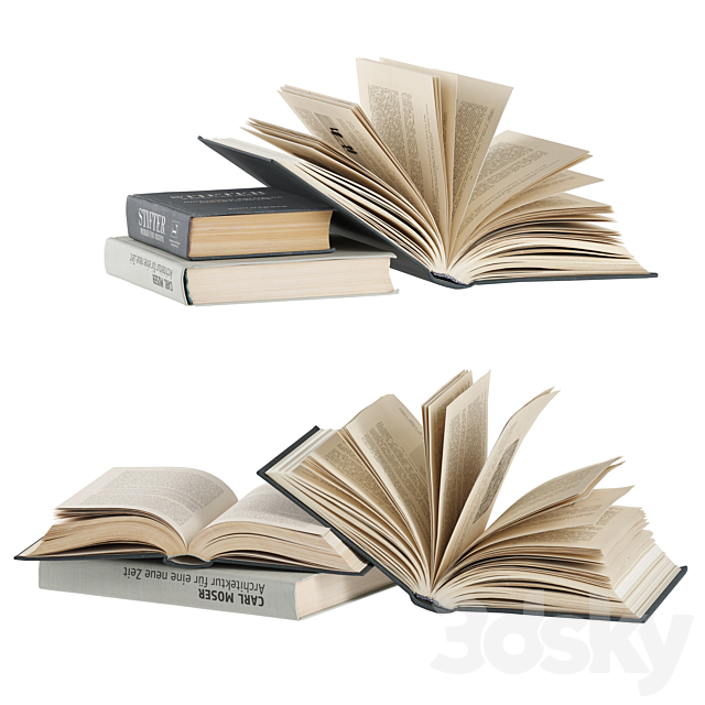 opened books collection 3DSMax File - thumbnail 5