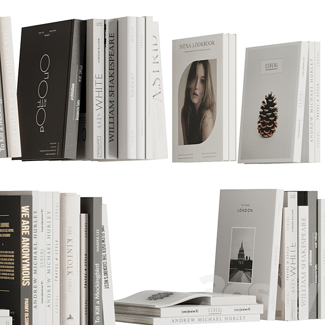 Set of Books V1 3DS Max Model - thumbnail 2