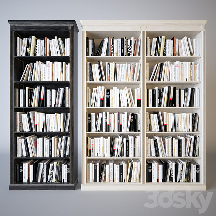 Shelves of books 3DS Max - thumbnail 1