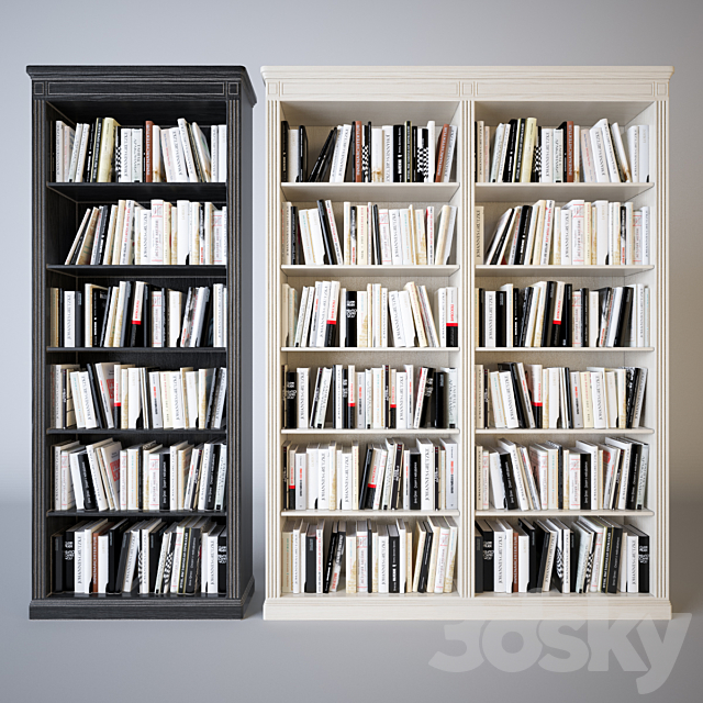 Shelves of books 3DS Max Model - thumbnail 1