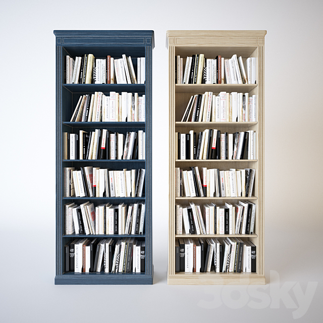 Shelves of books 3DS Max Model - thumbnail 3