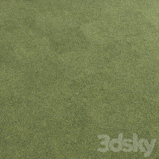 Carpet covering 225 3ds Max - thumbnail 3