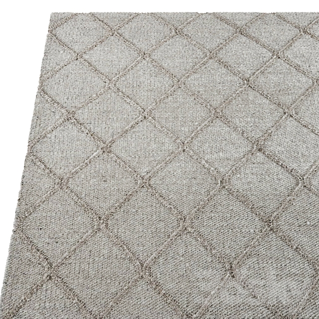 Carpets collection COAST DIAMOND RUG 3DS Max Model - thumbnail 3