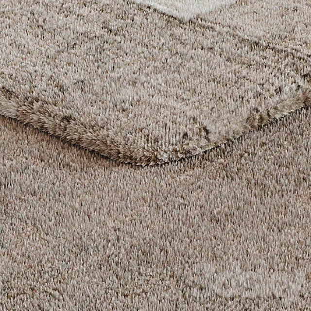 Fur Carpet 22 3ds Max - thumbnail 3