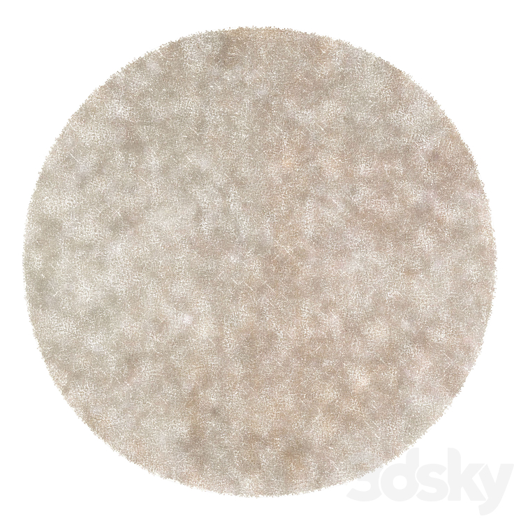 Round rug 08 3DS Max Model - thumbnail 2