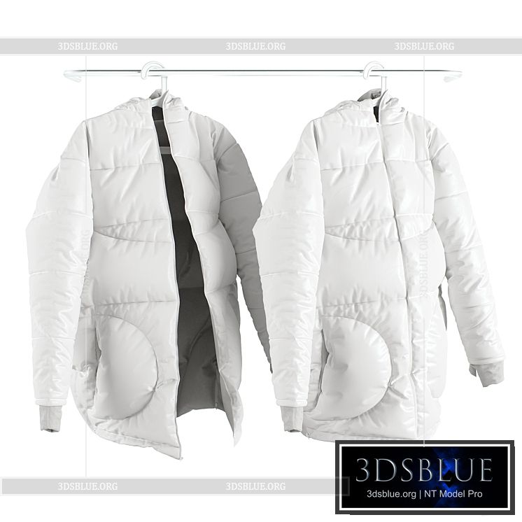 Winter jacket SONDR on a hanger 3DS Max - thumbnail 3