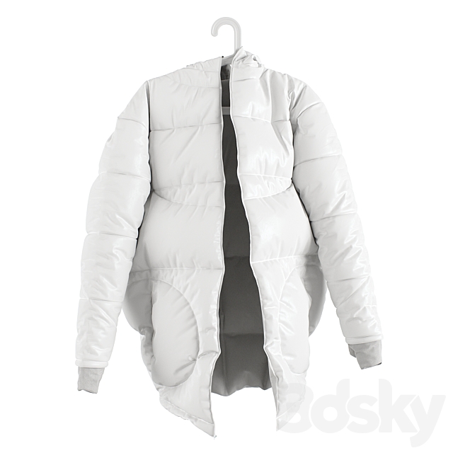 Winter jacket SONDR on a hanger 3DSMax File - thumbnail 3