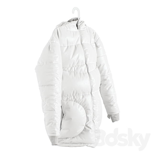 Winter jacket SONDR on a hanger 3DSMax File - thumbnail 5