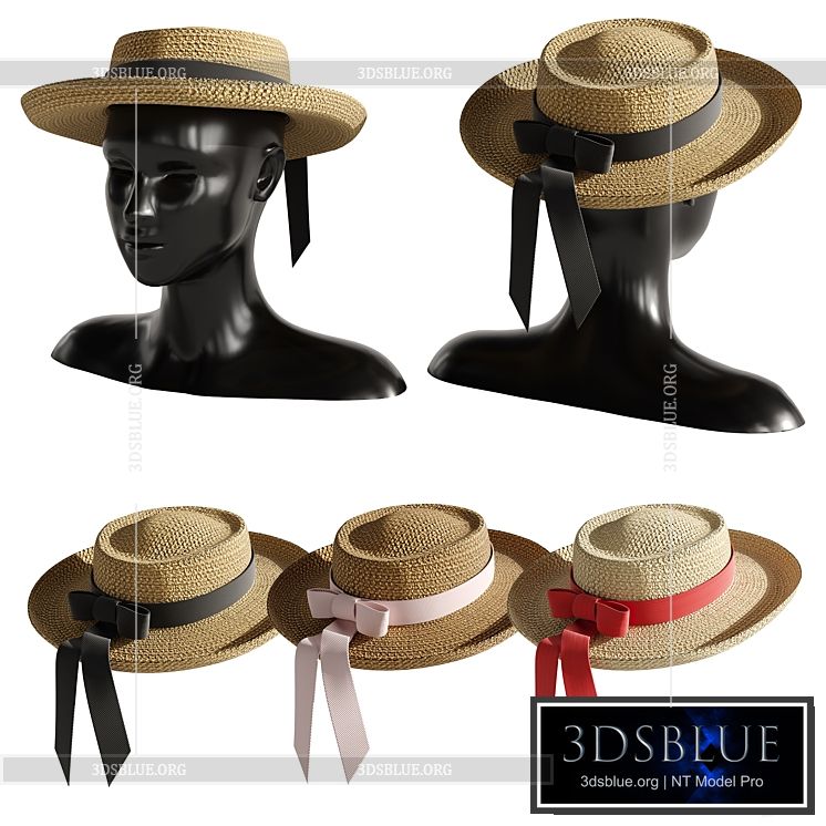 woman hat 4 3DS Max - thumbnail 3