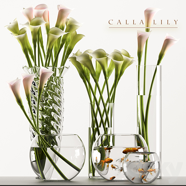 CALLA LILY 3 3DSMax File - thumbnail 1