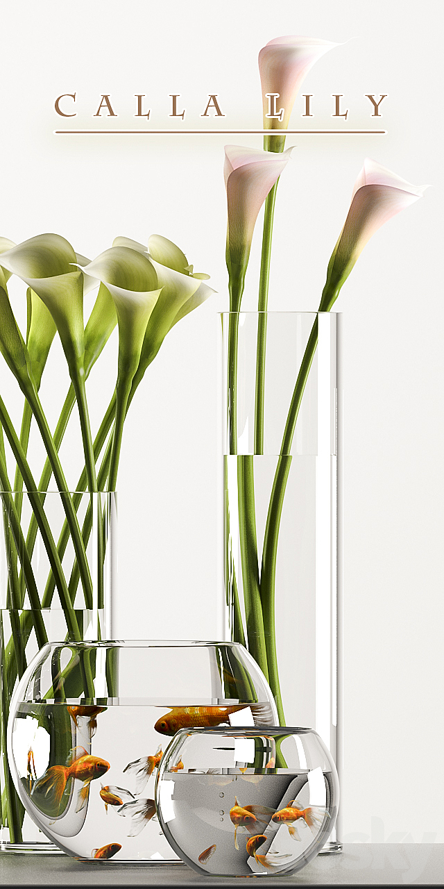 CALLA LILY 3 3DSMax File - thumbnail 3