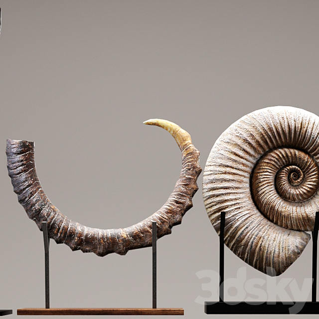 collection of 20 statues. figurine. wooden. eco design. set. collection. decor. mega set. ammonite. shell. fossil. figurine. decor. tusk. horn 3DSMax File - thumbnail 2