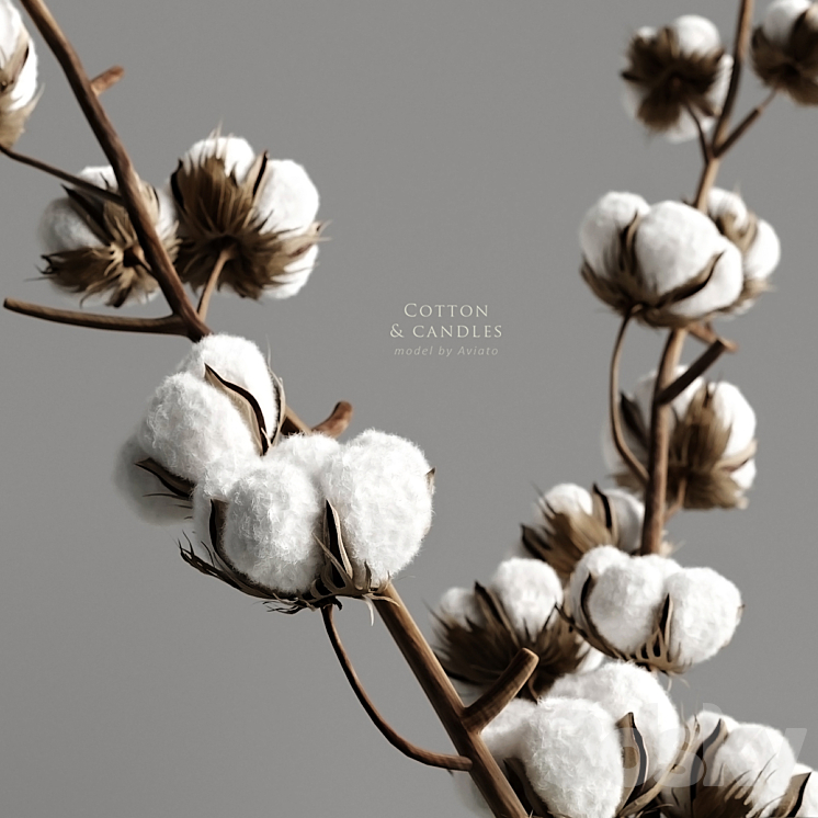 Cotton & candles 3DS Max Model - thumbnail 2