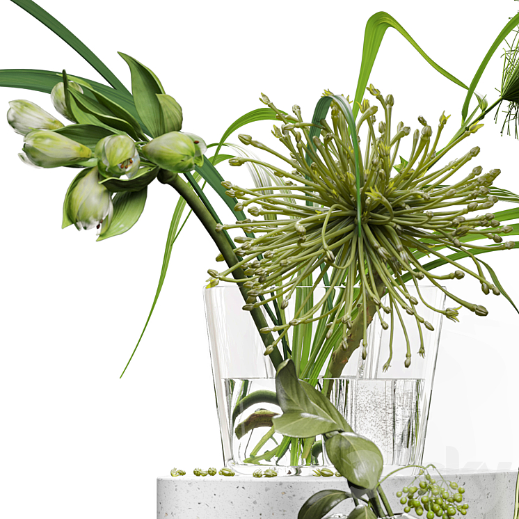 Decor set 047 with green plants AALTO VASE 3DS Max Model - thumbnail 2