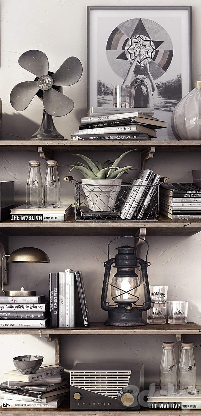 DECOR SET _ SHELVES 3DSMax File - thumbnail 2