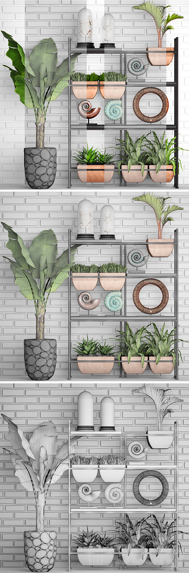 Decorative set. 2. banana palm. aspelinium. decorative shelf. ammonite. figurine. copper decor. crayfish. crab. white brick wall 3DSMax File - thumbnail 3