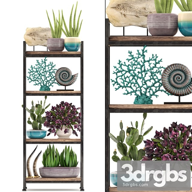 Decorative set. 7th. shelf decor coral tulips shelf with flowers horn 3dsmax Download - thumbnail 1