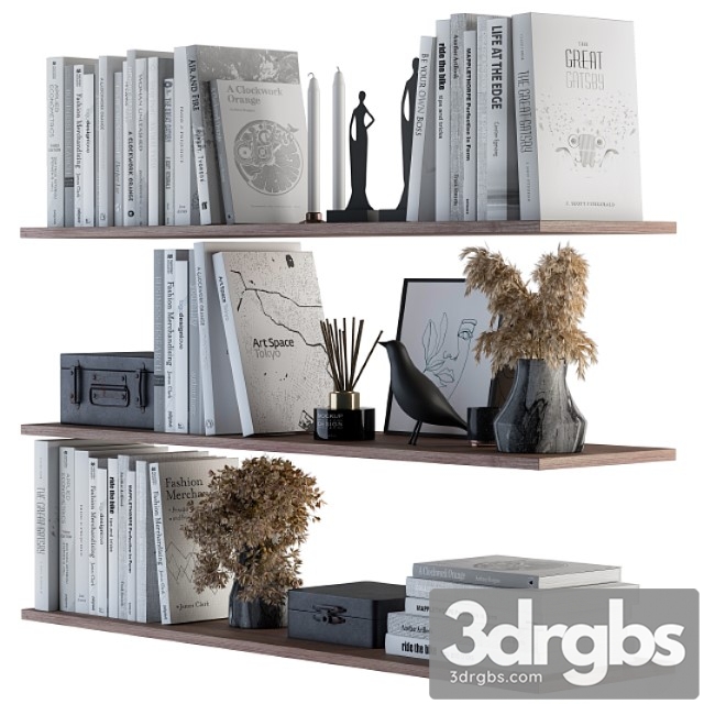 Decorative set on shelves white book and dried plants 3dsmax Download - thumbnail 1